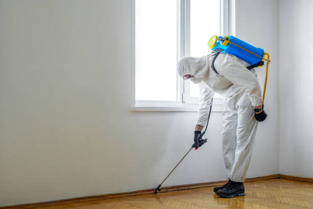 Reliable Middlebranch, OH Pest Control Solutions